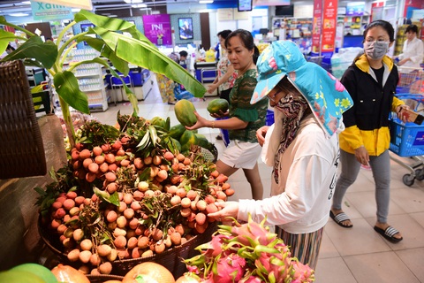 Saigon Co.op hỗ trợ tiêu thụ trái cây, nông sản miền Bắc - Ảnh 1. Saigon Co.op hỗ trợ tiêu thụ trái cây, nông sản miền Bắc - Ảnh 1.