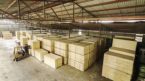 Mỹ điều tra chống lẩn tránh thuế với gỗ dán của Việt Nam - Ảnh 1. Mỹ điều tra chống lẩn tránh thuế với gỗ dán của Việt Nam - Ảnh 1.