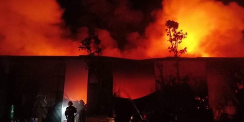 Cháy lớn nhà xưởng sát bên Viện Điều tra, quy hoạch rừng ở Hà Nội - Ảnh 1. Cháy lớn nhà xưởng sát bên Viện Điều tra, quy hoạch rừng ở Hà Nội - Ảnh 1.