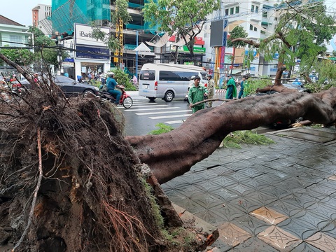 Một phụ nữ ở Cần Thơ đang làm đồng bị sét đánh chết - Ảnh 1. Một phụ nữ ở Cần Thơ đang làm đồng bị sét đánh chết - Ảnh 1.