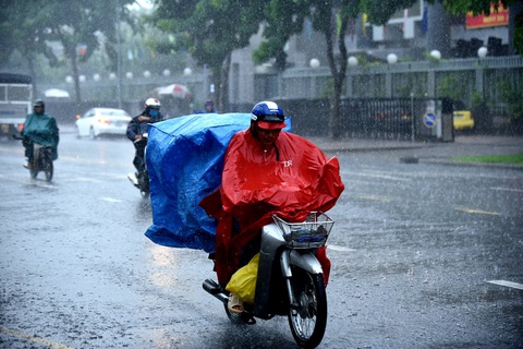 TP.HCM sắp có mưa lớn, ngập nặng do bão số 1 hút gió tây nam - Ảnh 1. TP.HCM sắp có mưa lớn, ngập nặng do bão số 1 hút gió tây nam - Ảnh 1.