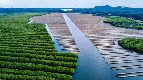 Đến miền Trung mà ngỡ lạc trôi ở... miền Tây - Ảnh 2. Đến miền Trung mà ngỡ lạc trôi ở... miền Tây - Ảnh 2.