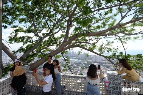 Rợp trời con đường hoa phượng đỏ ở Vũng Tàu - Ảnh 8. Rợp trời con đường hoa phượng đỏ ở Vũng Tàu - Ảnh 8.