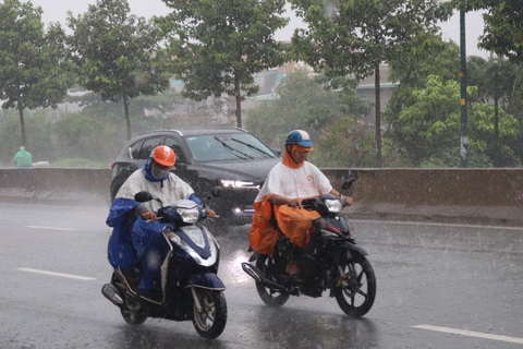 Bão số 1 mạnh lên, cách Hoàng Sa 450km, TP.HCM đã có mưa, gió - Ảnh 4. Bão số 1 mạnh lên, cách Hoàng Sa 450km, TP.HCM đã có mưa, gió - Ảnh 4.