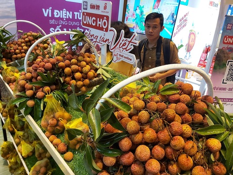 Một tuần tưng bừng trải nghiệm mua vải thiều trên Ví điện tử MoMo - Ảnh 1. Một tuần tưng bừng trải nghiệm mua vải thiều trên Ví điện tử MoMo - Ảnh 1.