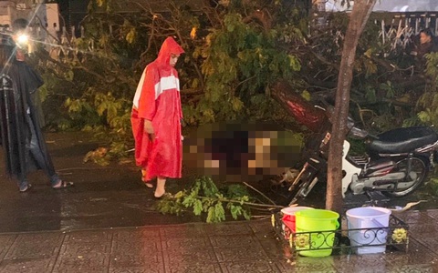 Cây gãy làm chết người: xui phải chịu, khó quy trách nhiệm? - Ảnh 1. Cây gãy làm chết người: xui phải chịu, khó quy trách nhiệm? - Ảnh 1.