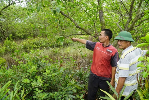 Phó chủ tịch huyện bị cảnh cáo vì chuyển đất nuôi tôm thành đất ở - Ảnh 1. Phó chủ tịch huyện bị cảnh cáo vì chuyển đất nuôi tôm thành đất ở - Ảnh 1.