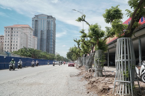 Mặc áo giáp sắt kiên cố, thuê bảo vệ trông hàng cây sưa đỏ để tránh bị cưa trộm - Ảnh 1. Mặc áo giáp sắt kiên cố, thuê bảo vệ trông hàng cây sưa đỏ để tránh bị cưa trộm - Ảnh 1.