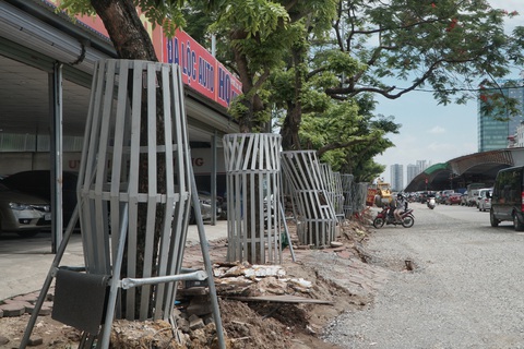 Mặc áo giáp sắt kiên cố, thuê bảo vệ trông hàng cây sưa đỏ để tránh bị cưa trộm - Ảnh 3. Mặc áo giáp sắt kiên cố, thuê bảo vệ trông hàng cây sưa đỏ để tránh bị cưa trộm - Ảnh 3.