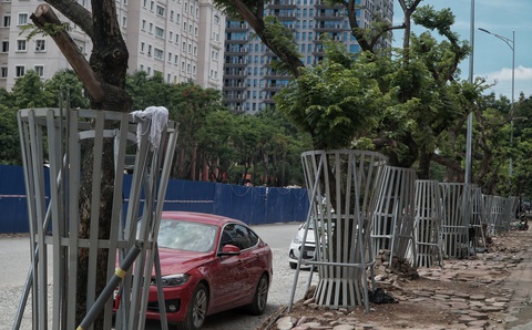 Mặc áo giáp sắt kiên cố, thuê bảo vệ trông hàng cây sưa đỏ để tránh bị cưa trộm - Ảnh 7. Mặc áo giáp sắt kiên cố, thuê bảo vệ trông hàng cây sưa đỏ để tránh bị cưa trộm - Ảnh 7.