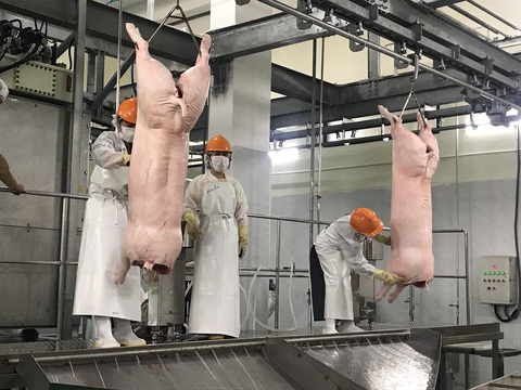 CP Việt Nam: Có hiểu nhầm, CP không tăng giá heo pha lóc mà còn giảm giá heo mảnh - Ảnh 1. CP Việt Nam: Có hiểu nhầm, CP không tăng giá heo pha lóc mà còn giảm giá heo mảnh - Ảnh 1.