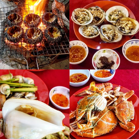 Ra đảo Hải Tặc làm… Robinson - Ảnh 6. Ra đảo Hải Tặc làm… Robinson - Ảnh 6.