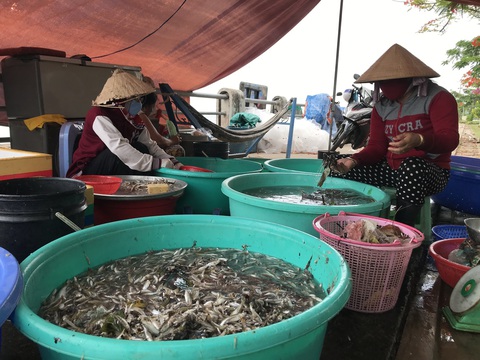 100 năm làng chài bên bến Người tình - Ảnh 3. 100 năm làng chài bên bến Người tình - Ảnh 3.