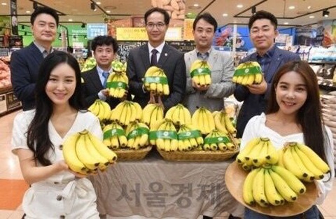 Siêu thị Lotte Mart đưa chuối Việt Nam vào bán tại Hàn Quốc - Ảnh 1. Siêu thị Lotte Mart đưa chuối Việt Nam vào bán tại Hàn Quốc - Ảnh 1.
