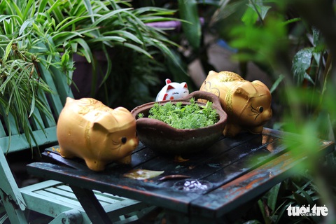 Khu vườn xanh độc đáo được làm từ vật dụng vứt ngoài đường ở Sài Gòn - Ảnh 5. Khu vườn xanh độc đáo được làm từ vật dụng vứt ngoài đường ở Sài Gòn - Ảnh 5.