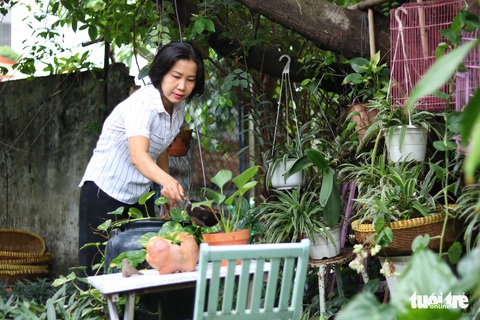 Khu vườn xanh độc đáo được làm từ vật dụng vứt ngoài đường ở Sài Gòn - Ảnh 1. Khu vườn xanh độc đáo được làm từ vật dụng vứt ngoài đường ở Sài Gòn - Ảnh 1.