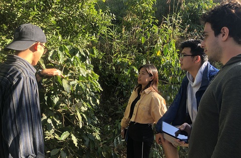 Người cho cà phê ăn hồng, ăn chuối - Ảnh 3. Người cho cà phê ăn hồng, ăn chuối - Ảnh 3.