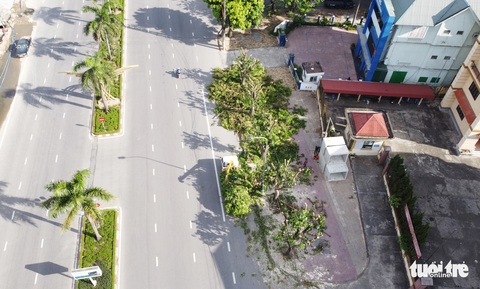 Hàng loạt cây xanh thành phố Vinh bị vặt trụi trong nắng nóng 40 độ - Ảnh 1. Hàng loạt cây xanh thành phố Vinh bị vặt trụi trong nắng nóng 40 độ - Ảnh 1.