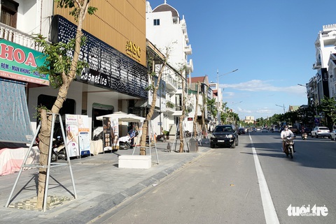 Hàng loạt cây xanh thành phố Vinh bị vặt trụi trong nắng nóng 40 độ - Ảnh 13. Hàng loạt cây xanh thành phố Vinh bị vặt trụi trong nắng nóng 40 độ - Ảnh 13.
