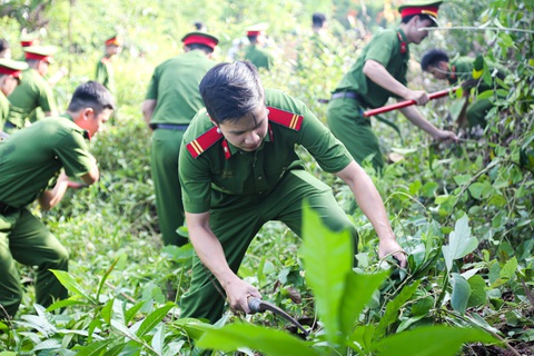 Hơn 1.000 người dân Huế dọn dẹp khu vực Thượng Thành - Ảnh 7. Hơn 1.000 người dân Huế dọn dẹp khu vực Thượng Thành - Ảnh 7.