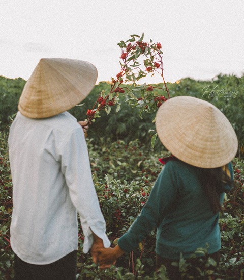 Bộ ảnh đong đầy yêu thương về đôi tay ba mẹ của chàng trai Quảng Trị - Ảnh 2. Bộ ảnh đong đầy yêu thương về đôi tay ba mẹ của chàng trai Quảng Trị - Ảnh 2.
