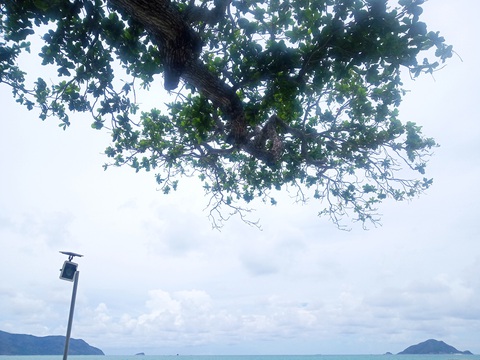 Thong dong Côn Đảo những ngày hè đẹp nhất trong năm - Ảnh 11. Thong dong Côn Đảo những ngày hè đẹp nhất trong năm - Ảnh 11.