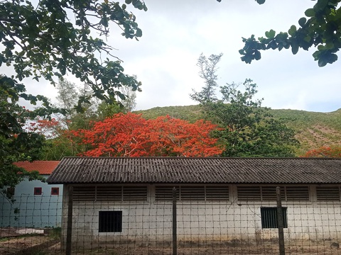 Thong dong Côn Đảo những ngày hè đẹp nhất trong năm - Ảnh 12. Thong dong Côn Đảo những ngày hè đẹp nhất trong năm - Ảnh 12.
