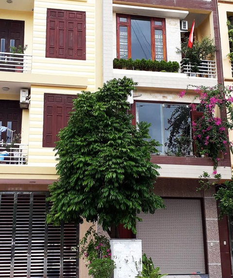 Khởi tố vợ nguyên chủ tịch phường vụ đánh chảy máu người gửi đơn tố cáo - Ảnh 1. Khởi tố vợ nguyên chủ tịch phường vụ đánh chảy máu người gửi đơn tố cáo - Ảnh 1.