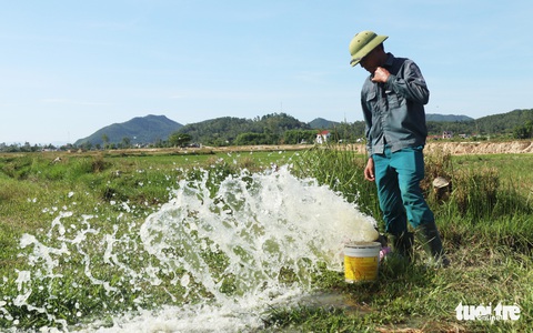 Đồng ruộng nứt toác vì nắng hạn, nông dân ngồi trên lửa - Ảnh 4. Đồng ruộng nứt toác vì nắng hạn, nông dân ngồi trên lửa - Ảnh 4.