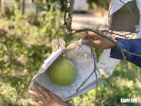 Đồng ruộng nứt toác vì nắng hạn, nông dân ngồi trên lửa - Ảnh 7. Đồng ruộng nứt toác vì nắng hạn, nông dân ngồi trên lửa - Ảnh 7.