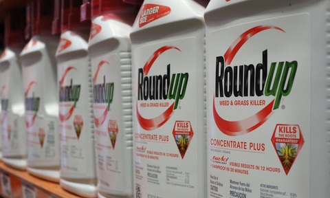 Công ty mẹ của Monsanto chi gần 11 tỉ USD giải quyết vụ kiện thuốc diệt cỏ gây ung thư - Ảnh 1. Công ty mẹ của Monsanto chi gần 11 tỉ USD giải quyết vụ kiện thuốc diệt cỏ gây ung thư - Ảnh 1.