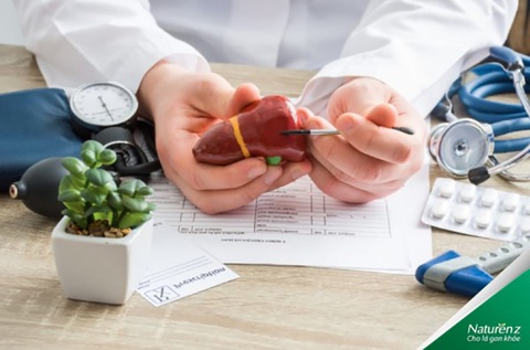 Giải pháp hỗ trợ bảo vệ gan thận từ enzym sinh học - Ảnh 1. Giải pháp hỗ trợ bảo vệ gan thận từ enzym sinh học - Ảnh 1.