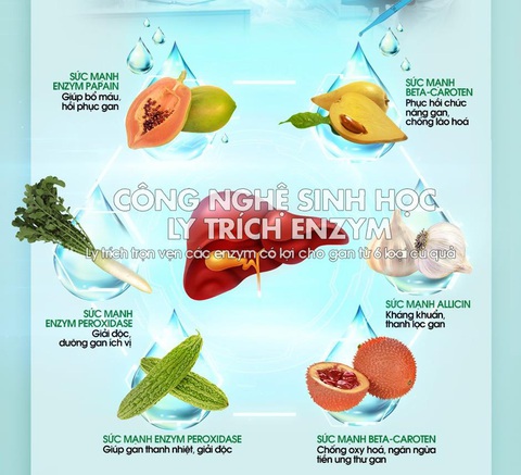 Giải pháp hỗ trợ bảo vệ gan thận từ enzym sinh học - Ảnh 2. Giải pháp hỗ trợ bảo vệ gan thận từ enzym sinh học - Ảnh 2.