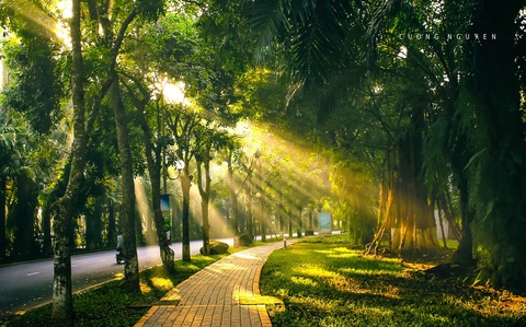 Ecopark thành phố xanh lớn nhất Việt Nam - Ảnh 3. Ecopark thành phố xanh lớn nhất Việt Nam - Ảnh 3.