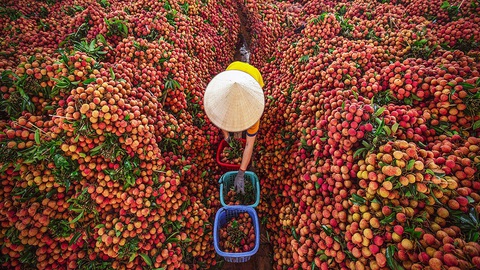 Nỗ lực giữ vị thế mới - Ảnh 2. Nỗ lực giữ vị thế mới - Ảnh 2.