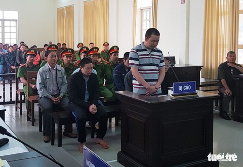 Đầu độc 10ha rừng thông, 7 lâm tặc chia nhau 32 năm tù - Ảnh 1. Đầu độc 10ha rừng thông, 7 lâm tặc chia nhau 32 năm tù - Ảnh 1.