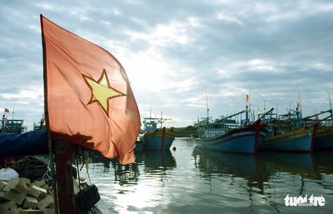 Đến Cù Lao Câu lặn ngắm san hô, ngắm vương quốc đá - Ảnh 1. Đến Cù Lao Câu lặn ngắm san hô, ngắm vương quốc đá - Ảnh 1.
