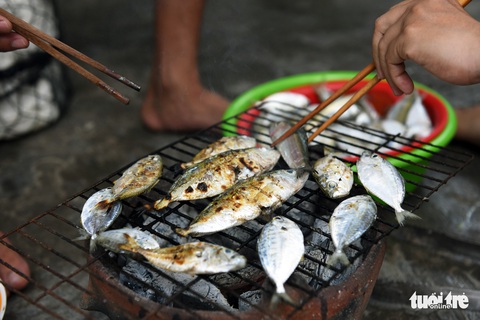 Đến Cù Lao Câu lặn ngắm san hô, ngắm vương quốc đá - Ảnh 9. Đến Cù Lao Câu lặn ngắm san hô, ngắm vương quốc đá - Ảnh 9.