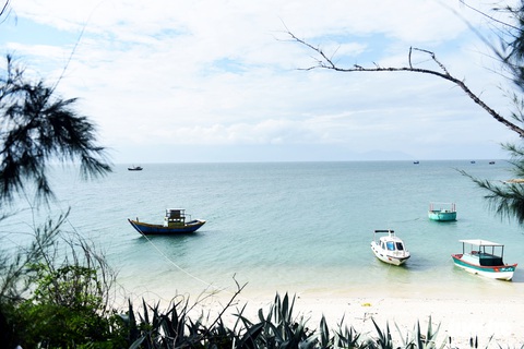 Đến Cù Lao Câu lặn ngắm san hô, ngắm vương quốc đá - Ảnh 11. Đến Cù Lao Câu lặn ngắm san hô, ngắm vương quốc đá - Ảnh 11.