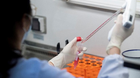 Phát hiện chủng virus cúm mới ở Trung Quốc có thể gây đại dịch - Ảnh 1. Phát hiện chủng virus cúm mới ở Trung Quốc có thể gây đại dịch - Ảnh 1.
