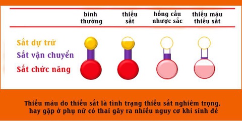 3 hậu quả không một bà bầu nào mong muốn khi lỡ bị thiếu máu thiếu sắt - Ảnh 3. 3 hậu quả không một bà bầu nào mong muốn khi lỡ bị thiếu máu thiếu sắt - Ảnh 3.
