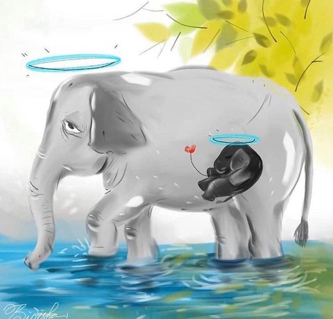 Đau đớn khi xem tranh vẽ voi mẹ mang thai bị giết bằng thuốc nổ - Ảnh 8. Đau đớn khi xem tranh vẽ voi mẹ mang thai bị giết bằng thuốc nổ - Ảnh 8.