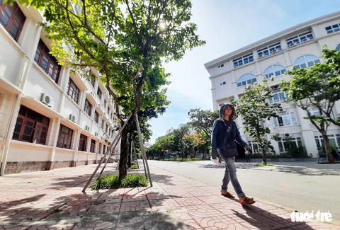 Mặc áo giáp’ cho cây xanh trong trường học - Ảnh 10. Mặc áo giáp’ cho cây xanh trong trường học - Ảnh 10.