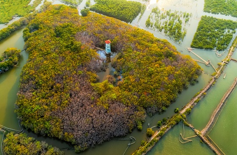 Vẻ đẹp trù phú của vùng nước Tam Giang - Cầu Hai - Ảnh 11. Vẻ đẹp trù phú của vùng nước Tam Giang - Cầu Hai - Ảnh 11.