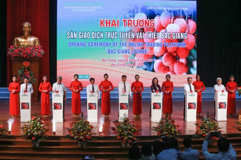 Bắc Giang dự kiến xuất khẩu 80.000 tấn vải thiều, Trung Quốc vẫn là thị trường chính - Ảnh 3. Bắc Giang dự kiến xuất khẩu 80.000 tấn vải thiều, Trung Quốc vẫn là thị trường chính - Ảnh 3.