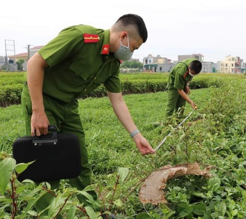 Bị sét đánh chết khi đang cắt rau - Ảnh 1. Bị sét đánh chết khi đang cắt rau - Ảnh 1.