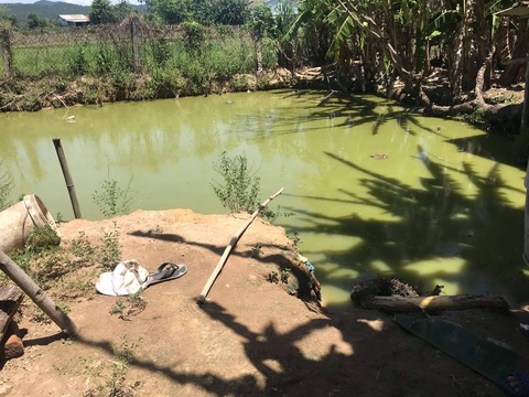 Kéo điện ra ao kích cá, hai cha con bị điện giật chết - Ảnh 1. Kéo điện ra ao kích cá, hai cha con bị điện giật chết - Ảnh 1.