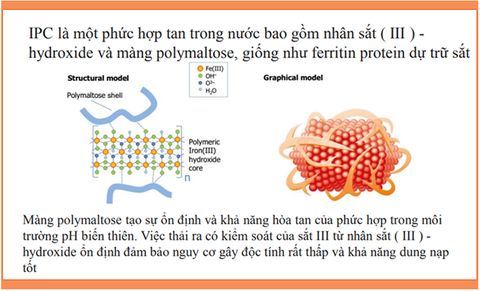 Hé lộ nguyên nhân vì sao bà bầu Việt đua nhau tìm dùng sắt nước hữu cơ - Ảnh 3. Hé lộ nguyên nhân vì sao bà bầu Việt đua nhau tìm dùng sắt nước hữu cơ - Ảnh 3.