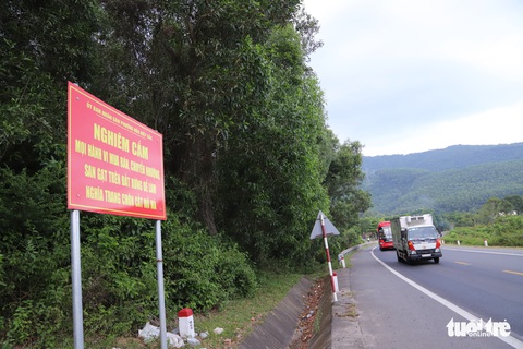 Đà Nẵng: Lập gác chắn, tuần tra ngăn xẻ đất rừng làm nghĩa trang trái phép - Ảnh 1. Đà Nẵng: Lập gác chắn, tuần tra ngăn xẻ đất rừng làm nghĩa trang trái phép - Ảnh 1.