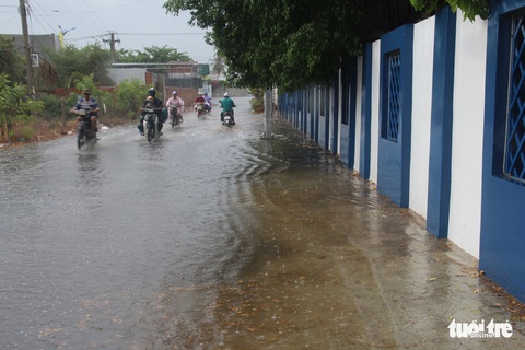Mưa đá giải nhiệt vùng hạn Ninh Thuận - Ảnh 3. Mưa đá giải nhiệt vùng hạn Ninh Thuận - Ảnh 3.